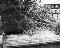 Damaged seats in the sunken garden