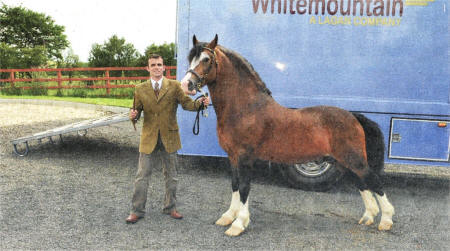 David Cleland from the Stud in Dundrod.