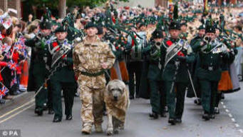 Royal Irish Regiment.